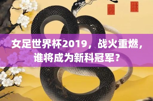 女足世界杯2019，战火重燃，谁将成为新科冠军？