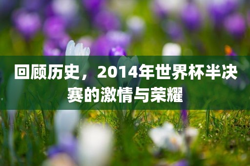 回顾历史，2014年世界杯半决赛的激情与荣耀吉安市靖泰电力工程有限公司