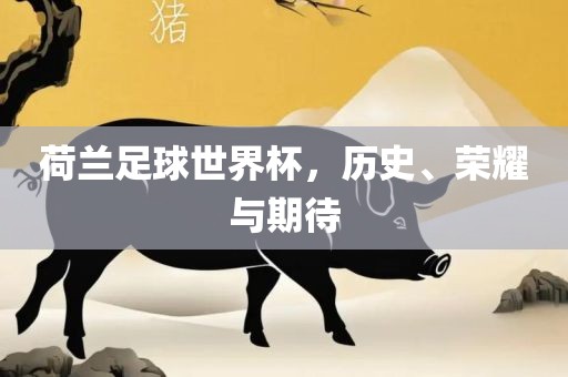 荷兰足球世界杯，历史、荣耀与期待