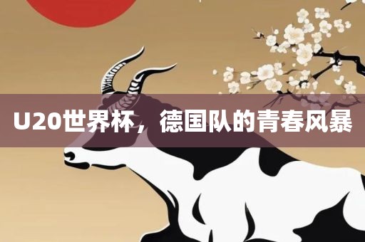 U20世界杯，德国队的青春风暴