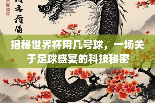 揭秘世界杯用几号球，一场关于足球盛宴的科技秘密