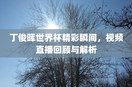 丁俊晖世界杯精彩瞬间，视频直播回顾与解析