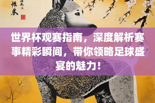 世界杯观赛指南，深度解析赛事精彩瞬间，带你领略足球盛宴的魅力！