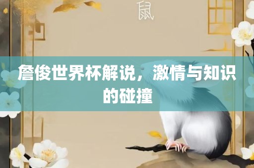 詹俊世界杯解说，激情与知识的碰撞