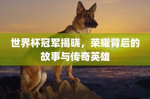 世界杯冠军揭晓，荣耀背后的故事与传奇英雄吉安市靖泰电力工程有限公司