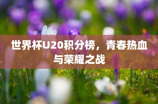 世界杯U20积分榜，青春热血与吉安市靖泰电力工程有限公司荣耀之战