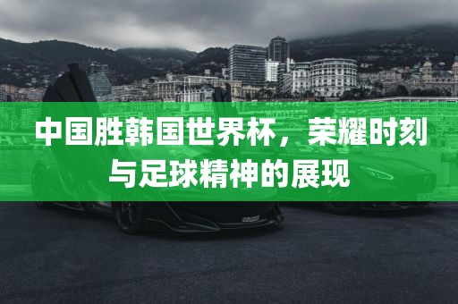 中国胜韩国世界杯，荣耀时刻与足球精神的展现