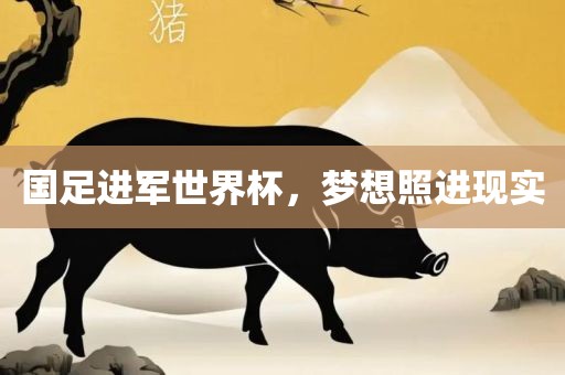 国足进军世界杯，梦想照进现实