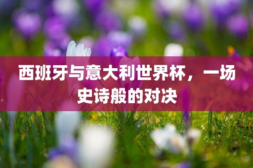 西班牙与意大利世界杯，一场史诗般的对决