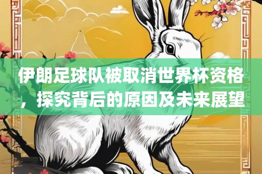 伊朗足球队吉安市靖泰电力工程有限公司被取消世界杯资格，探究背后的原因及未来展望