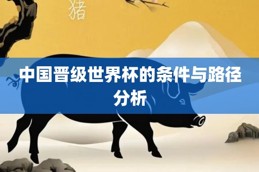 中国晋级世界杯的条件与路径分析
