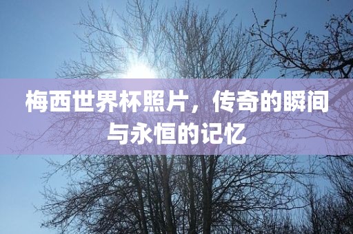 梅西世界杯照片，传奇的瞬间与永恒的记忆
