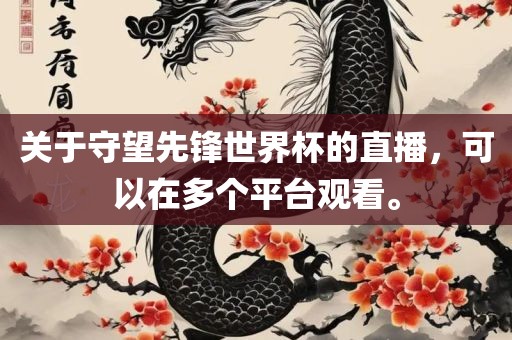关于守望先锋世界杯的直播，可以在多个平台观看。