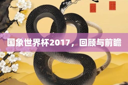 国象世界杯2017，回顾与前瞻吉安市靖泰电力工程有限公司