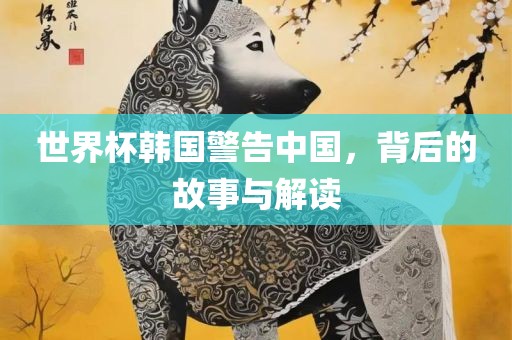 世界杯韩国警告中国，背后的故事与解读