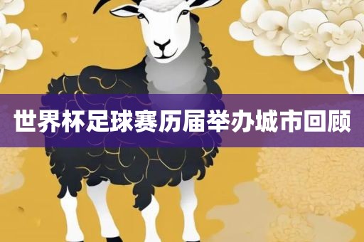 世界杯足球赛 第4页
