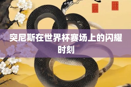 突尼斯在世界杯赛场上的闪耀时刻