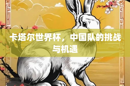卡塔尔世界杯，中国队的挑战与机遇吉安市靖泰电力工程有限公司