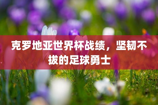 克罗地亚世界杯战绩，坚韧不拔的足球勇士