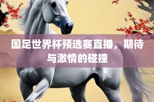 国足世界杯预选赛直播，期待与激情的碰撞
