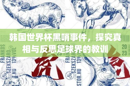 韩国世界杯黑哨事件，探究真相与反思足球界的教训