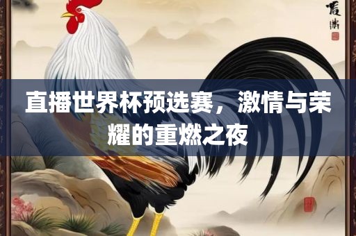 直播世界杯预选赛，激情与荣耀的重燃之夜