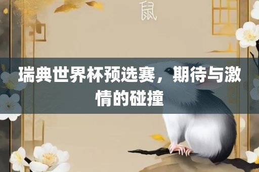 瑞典世界杯预选赛，期待与激情的碰撞