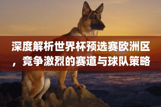 深度解析世界杯预选赛欧洲区，竞争激烈的赛道与球队策略