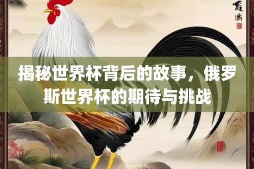 揭秘世界杯背后的故事，俄罗斯世界杯的期待与挑战