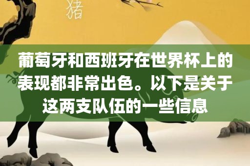 葡萄牙和西班牙在世界杯上的表现都非常出色。以下是关于这两支队伍的一些信息