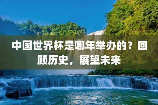 中国世界杯是哪年举办的？回顾历史，展望未来