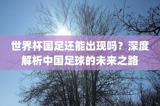 世界杯国足还能出现吗？深度解析中国足球的未来之路吉安市靖泰电力工程有限公司