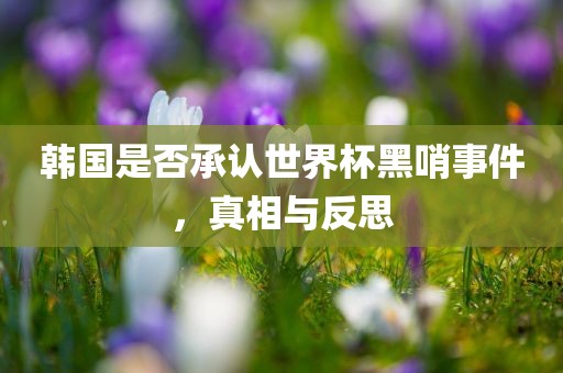 韩国是否承认世界杯黑哨事件，真相与反思