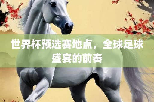 世界杯预选赛地点，全球足球盛宴的前奏