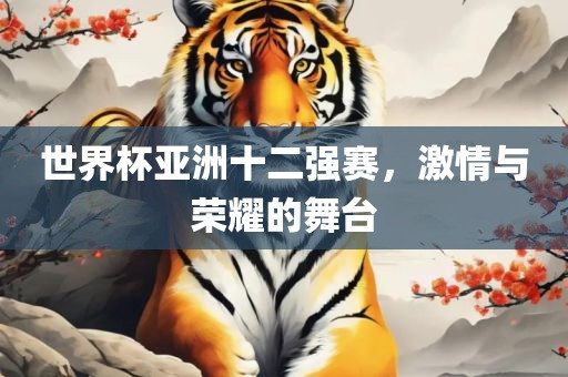 世界杯亚洲十二强赛，激情与荣耀的舞台