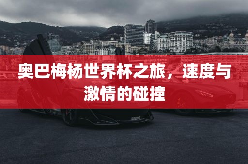 奥巴梅杨世界杯之旅，速度与激情的碰撞
