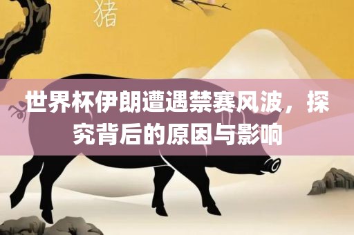 世界杯伊朗遭遇禁赛风波，探究背后的原因与影响