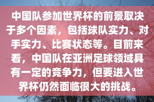 中国队参加世界杯的前景取决于多个因素，包括球队实力、对手实力、比赛状态等。目前来看，中国队在亚洲足球领域具有一定的竞争力，但要进入世界杯仍然面临很大的挑战。