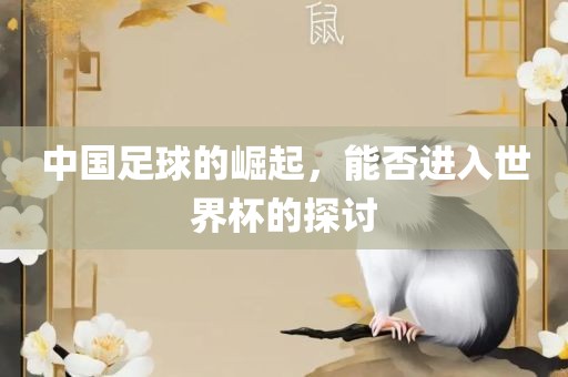 中国足球的崛起，能否进入世界杯的探讨吉安市靖泰电力工程有限公司