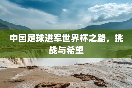 中国足球进军世界杯之路，挑战与希望