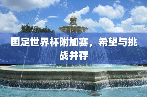 国足世界杯附加赛，希望与挑战并存