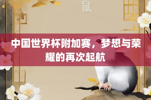 中国世界杯附加赛，梦想与荣耀的再次起航