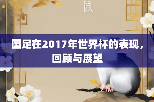 国足在2017年世界杯的表现，回顾与展望