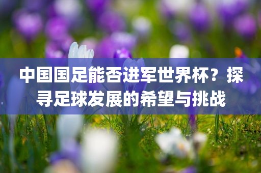 中国国足能否进军世界杯？探寻足球发展的希望与挑战