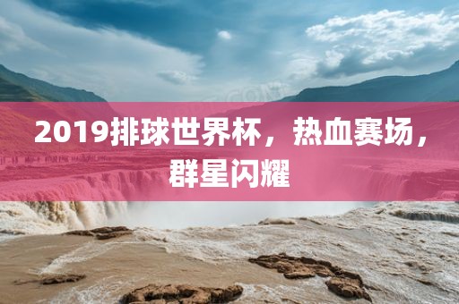 2019排球世界杯，热血赛场，群星闪耀