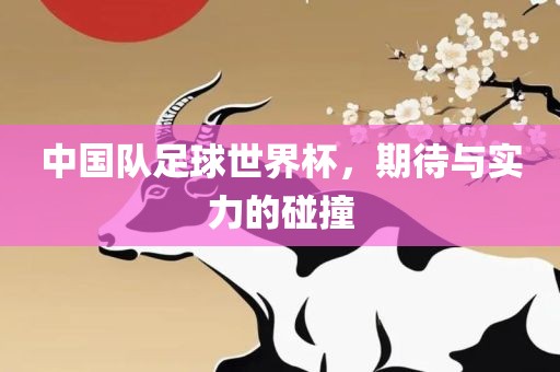 中国队足球世界杯，期待与实力的碰撞