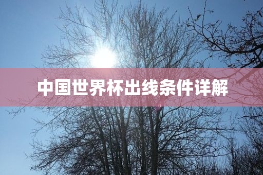 中国世界杯出线条件详解吉安市靖泰电力工程有限公司