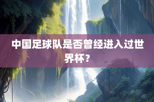 中国足球队是否曾经进入过世界杯？
