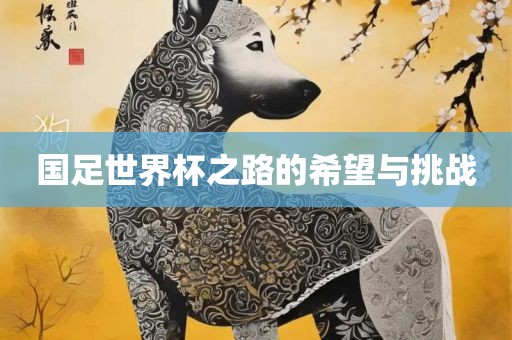 国足世界杯之路的希望与挑战