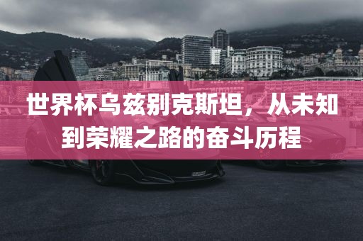 世界杯乌兹别克斯坦，从未知到荣耀之路的奋斗历程